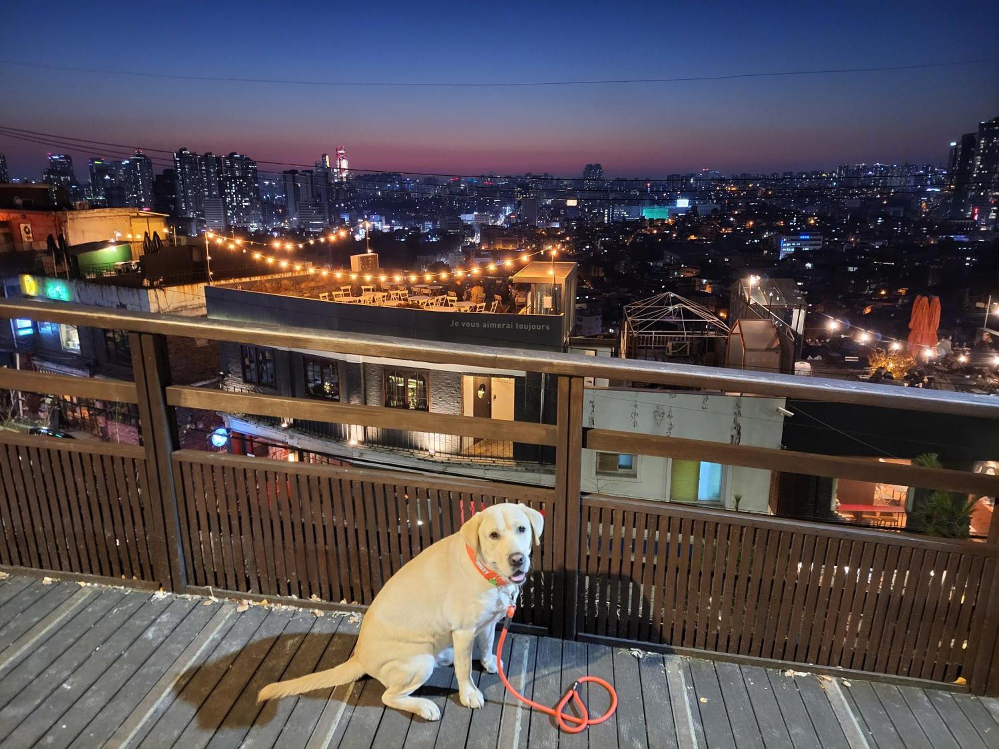 Newly Renovated 2 Bedroom Apartment #7 ソウル特別市 エクステリア 写真