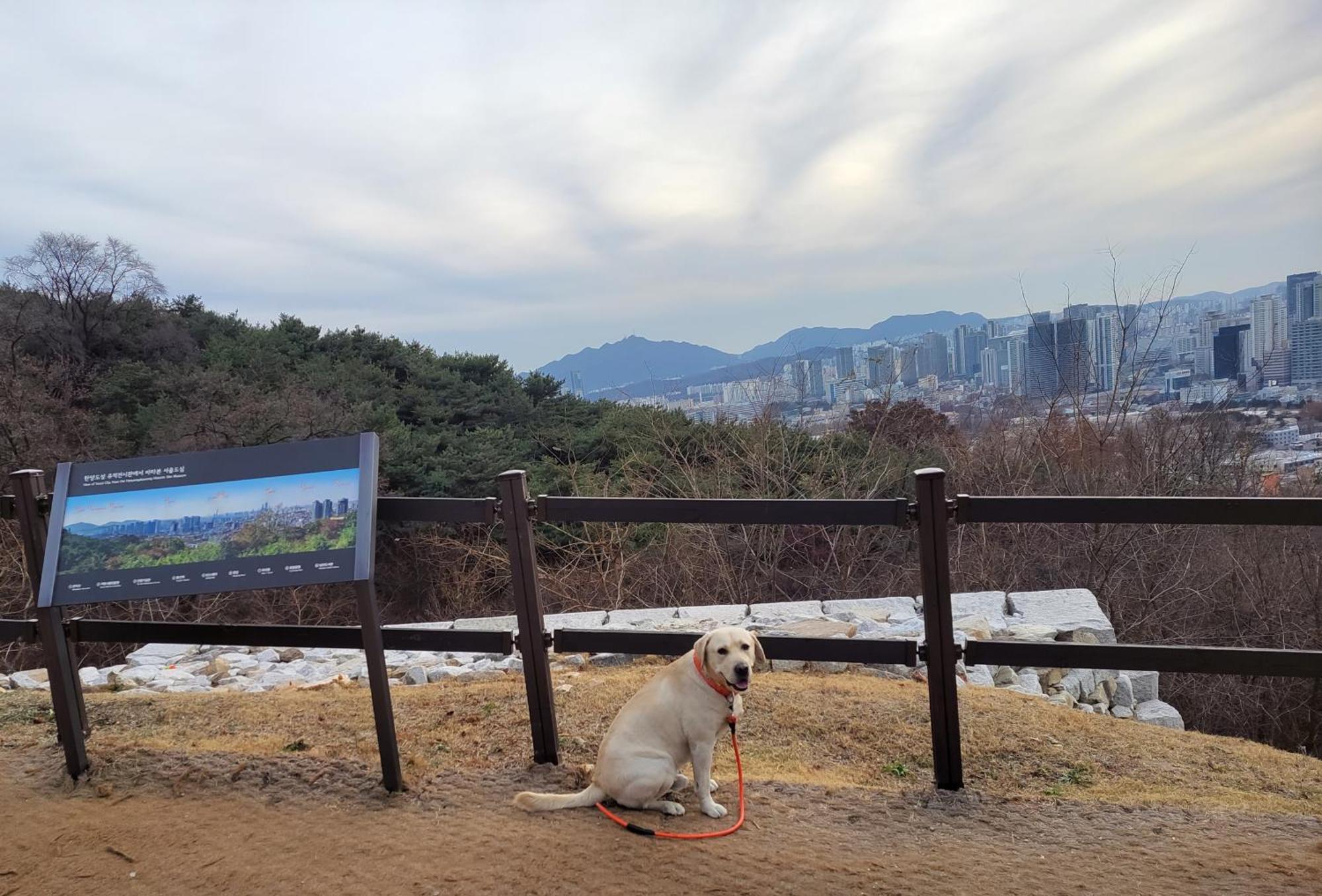 Newly Renovated 2 Bedroom Apartment #7 ソウル特別市 エクステリア 写真