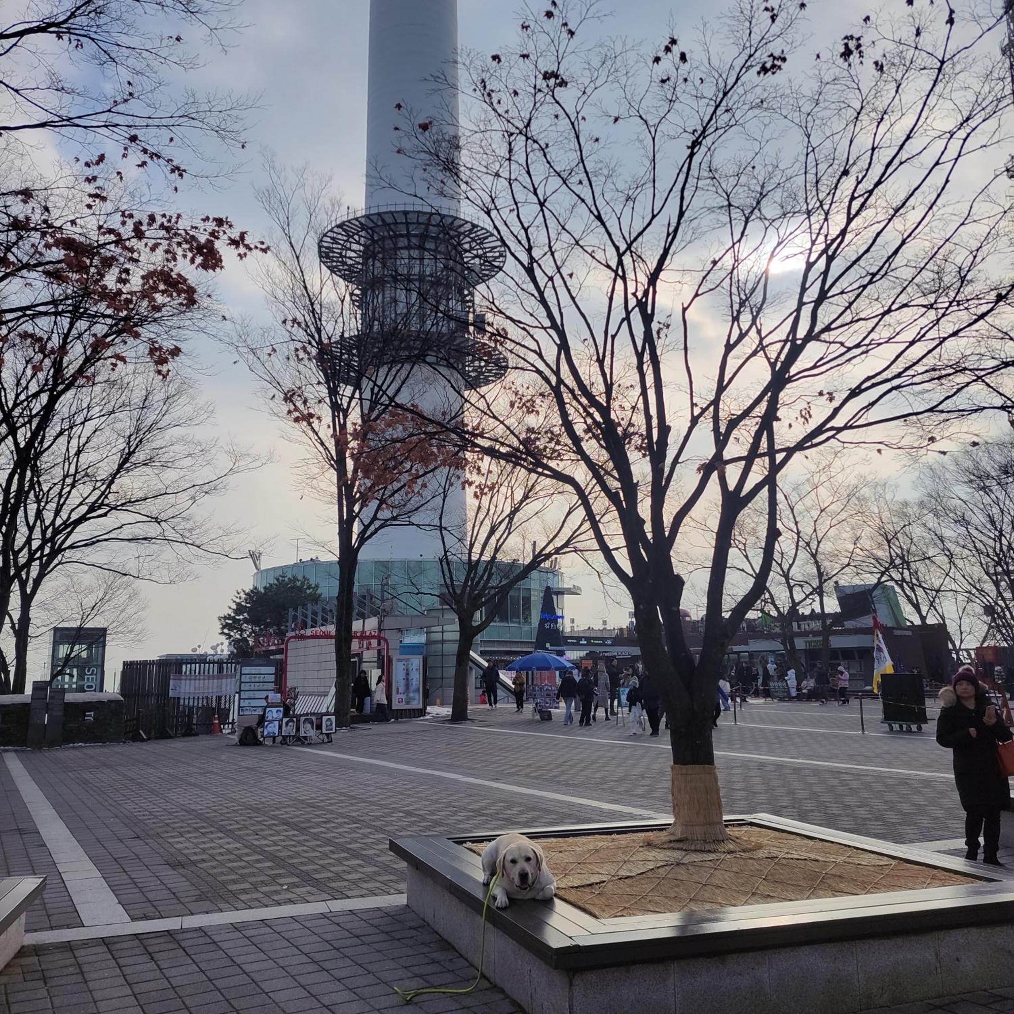 Newly Renovated 2 Bedroom Apartment #7 ソウル特別市 エクステリア 写真